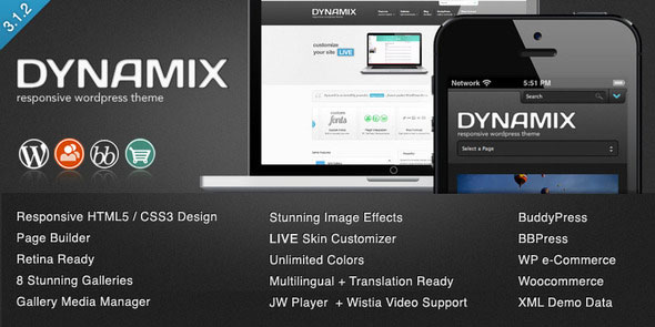 DynamiX WordPress Theme